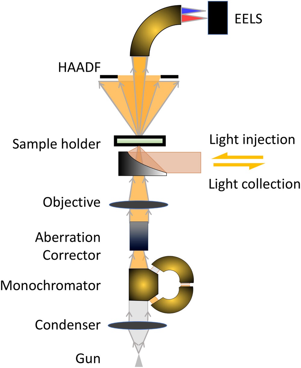 adom70200-fig-0002-m.jpg
